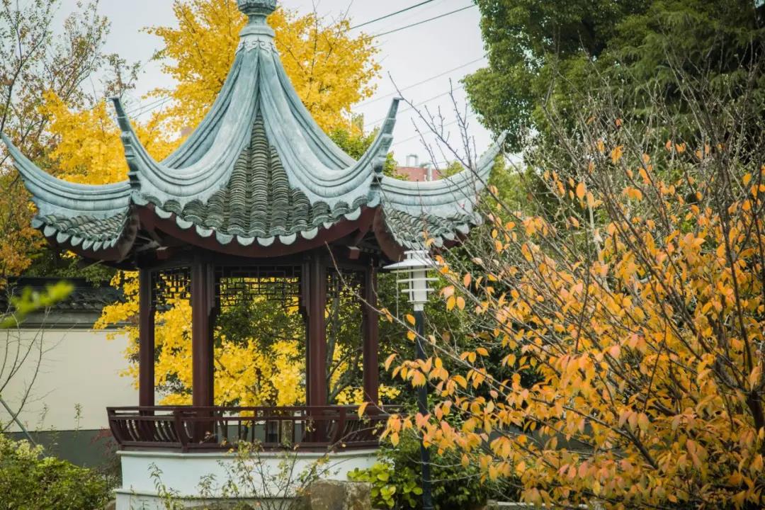 来苏州欧米奇学烘焙，感受冬日的幸福！